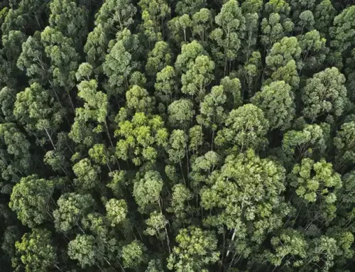 Curso Auditor Líder ISO 14001:2015 Sistemas de Gestión Ambiental