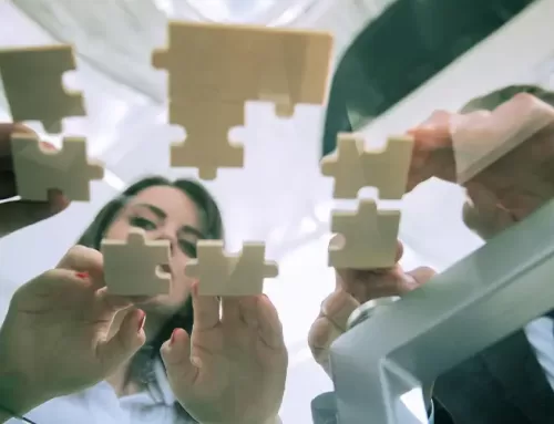 Desarrollo Organizacional (Etapa I)